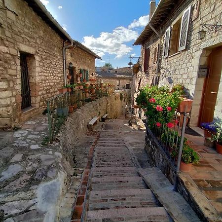 Le Casette Di Franco & Anna Assisi Exteriér fotografie