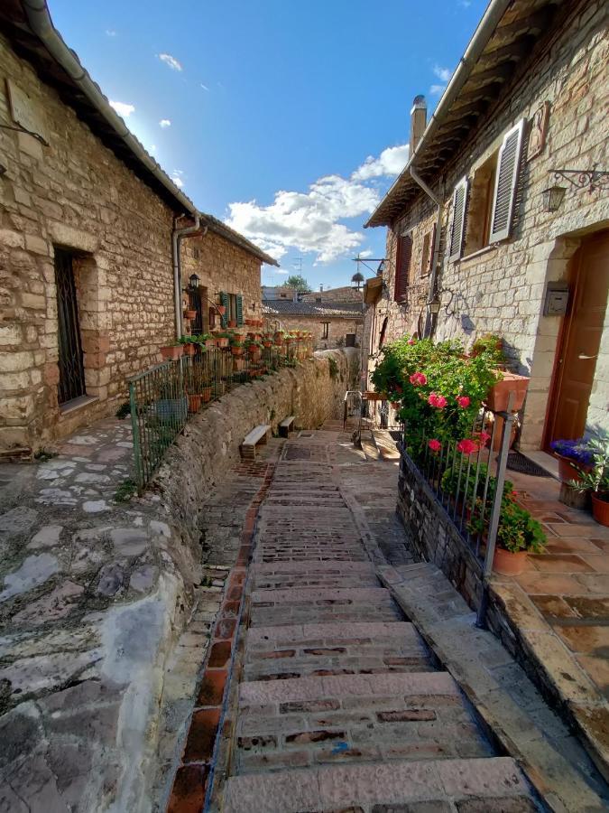 Le Casette Di Franco & Anna Assisi Exteriér fotografie